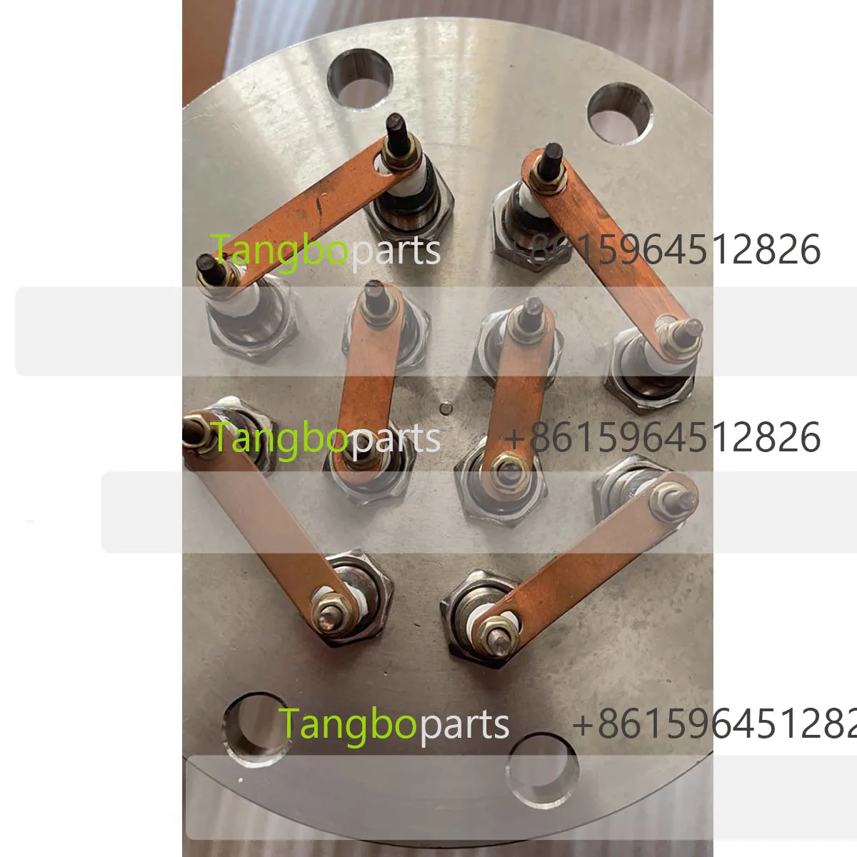 Steam Sterilizer Spare Parts 380V 60KW Heating Element for SHINVA Steam Generator Replace