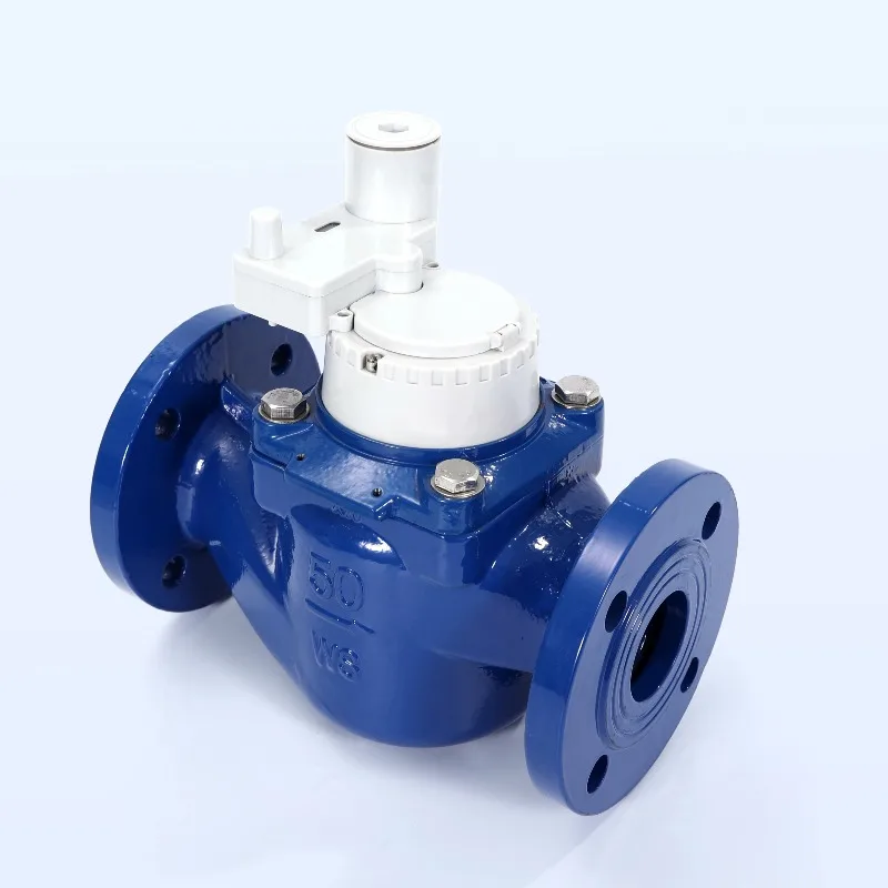 LORAWAN Wireless Remote Water Meter