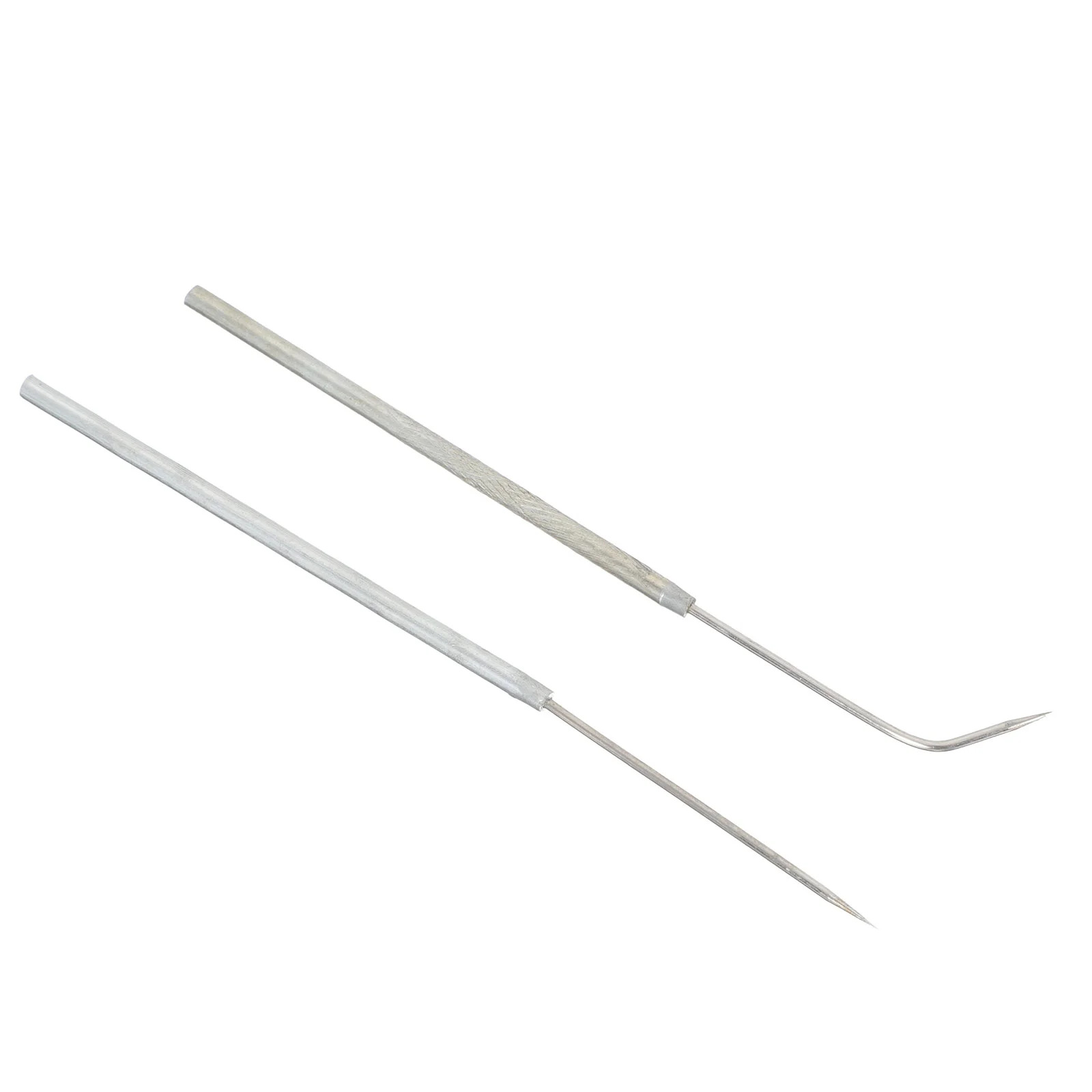 

2 Pcs Specimen Stainless Steel Shaped Needle Biology Laboratory Anatomical Equipment