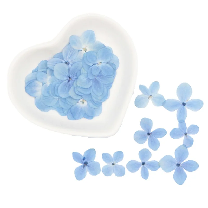 60PCS Real Natural Dried Pressed Hydrangeas Flowers Petals,Small Blue Hydrangea Dry Roses For DIY Craft Resin Jewellery,Nail Art