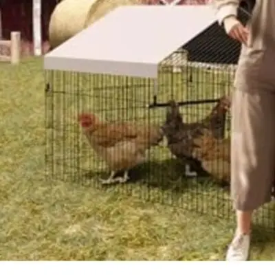 Animal Shelter Weather Protection Cover White Outdoor Chicken Epoxy Coating Construction Hook Buckle Door Lock