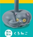 gray cat dizzy