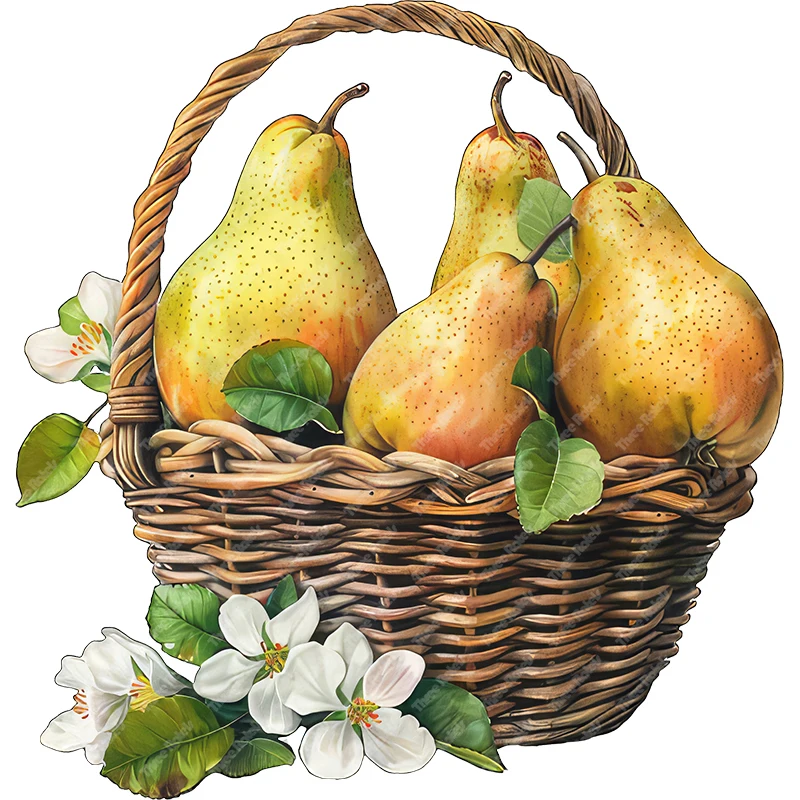 Three Ratels Fresh Pear Basket Rural style Cartoon Fruit wall Stickers for Home decoration