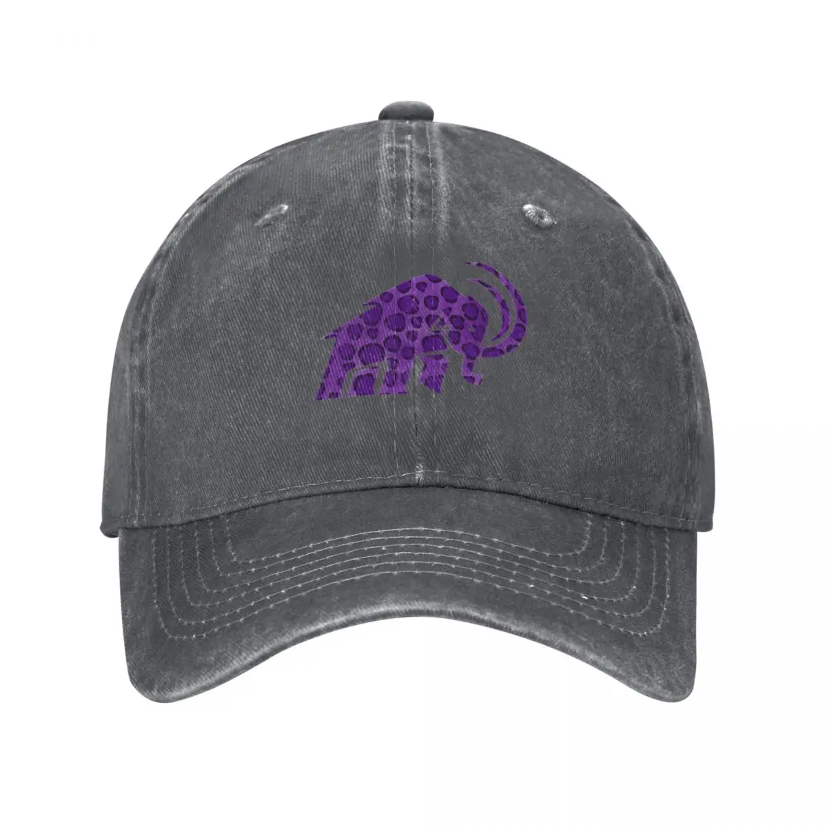 Amherst Cheetah Print DesignCap Baseball Cap black Sunhat Caps Male Women's