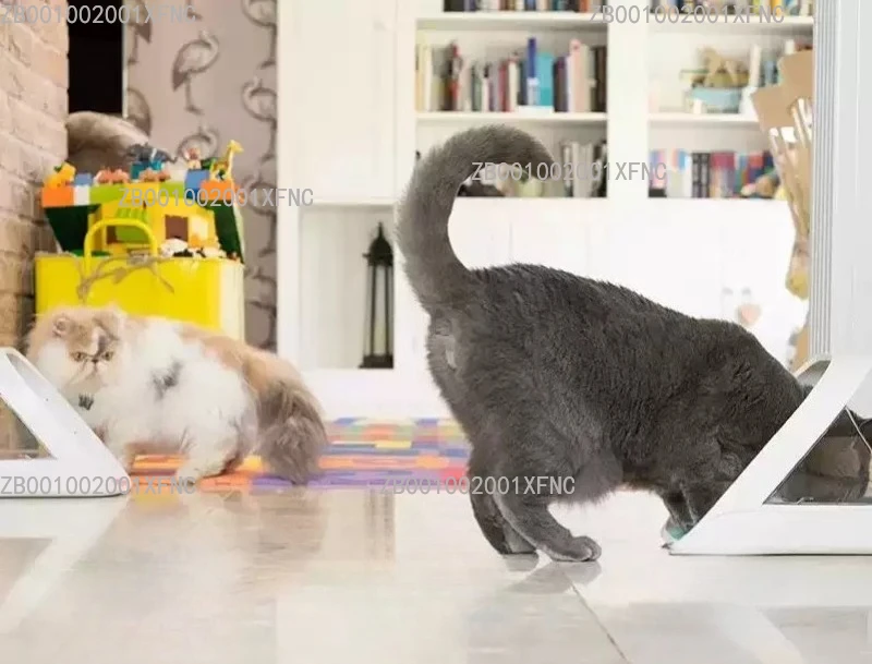 Smart Cat Automatic Feeder, Chip Recognition Sensor, Wet Food Fresh-keeping, Insect-proof Pet Bowl