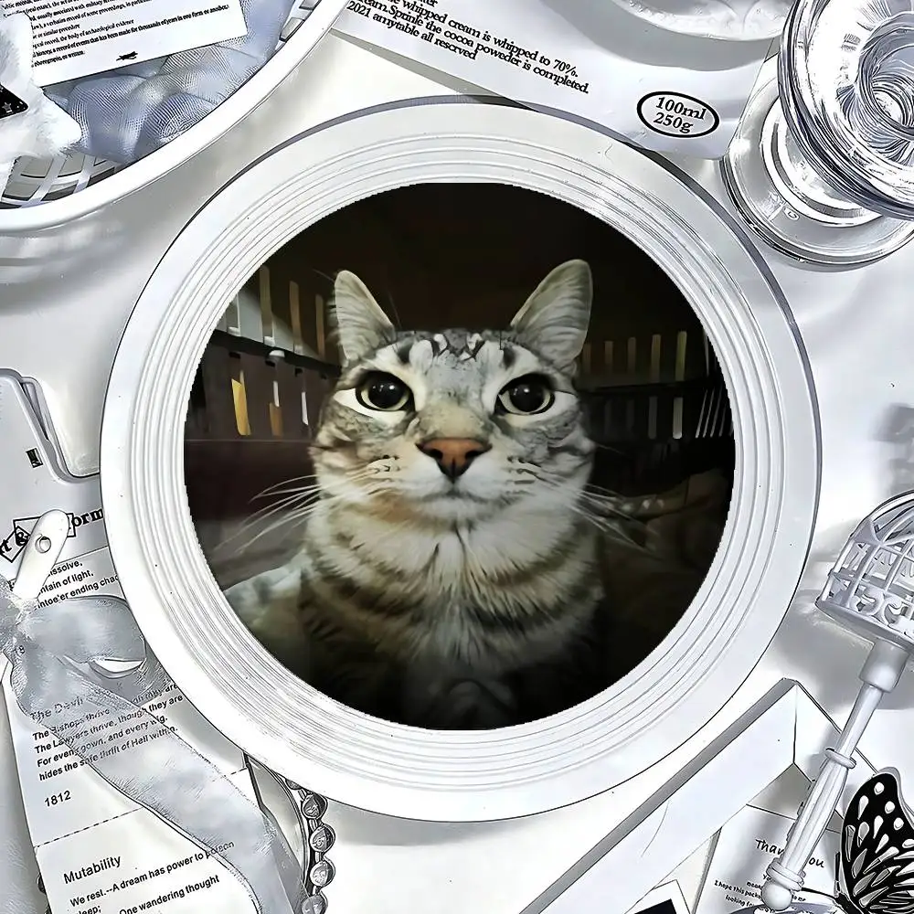 Cute Cat Meme Badge Pins For Friend, Backpack, Clothing, Collectible Accessories, Jewelry Gift