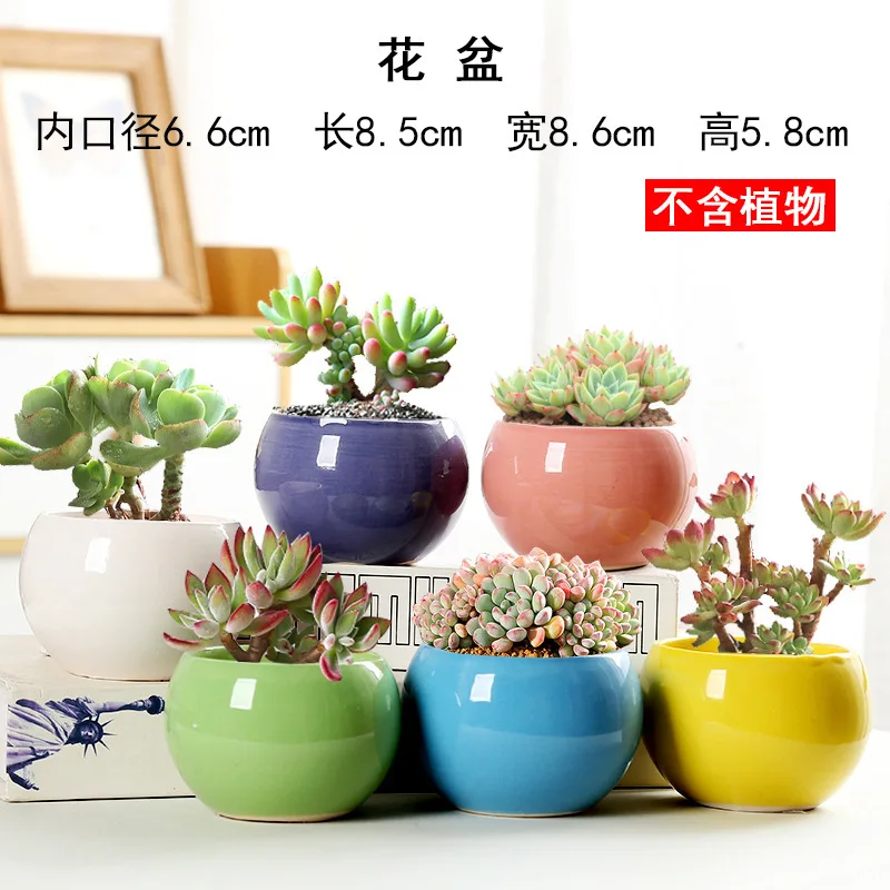 Ceramics Flower Pot Solid Color Succulent Plant Pot Small Potted Planter Pot Bedroom Office Desktop Decor Planters Garden Tools