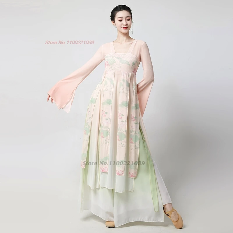 2025 중국 빈티지 민속 무용 의상 꽃 프린트 메쉬 hanfu 탑 + 바지 세트 빈티지 쉬폰 드레스 무대 공연 댄스 세트