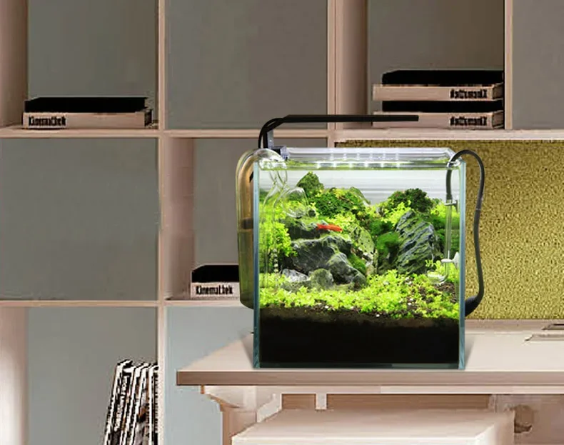 Chihiros Serie C Pianta in sti - Aquarium Fish Background recensione e prezzo