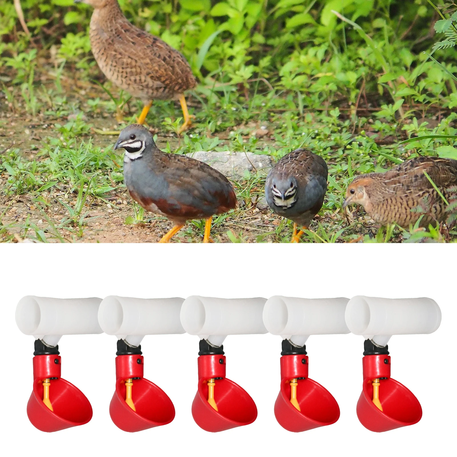 5Pcs Plastic Poultry Drink Cup Automatic Chicken Feeder Water Drinking Bottles for Chicken Hen Bird Duck Goose Food Dispenser