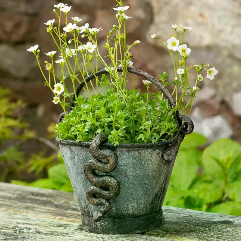 1Pc Upside-Down Snake Resin Sculpture Garden Home Plant Pot Ornament Realistic Animals Figurines Household Decor