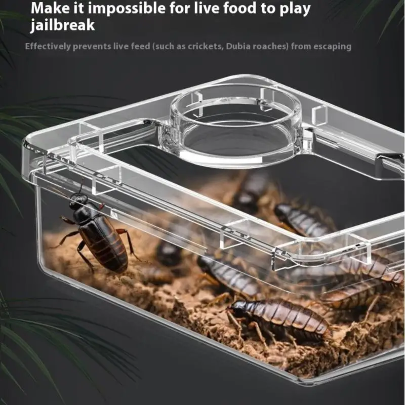 【E】Pet Reptile Lizard Turtle Transparent Feeder Anti-Flucht-Futternapf Wurm Live Container Reptile Pet Bowls Feeder Pet Supplies – Detail 5