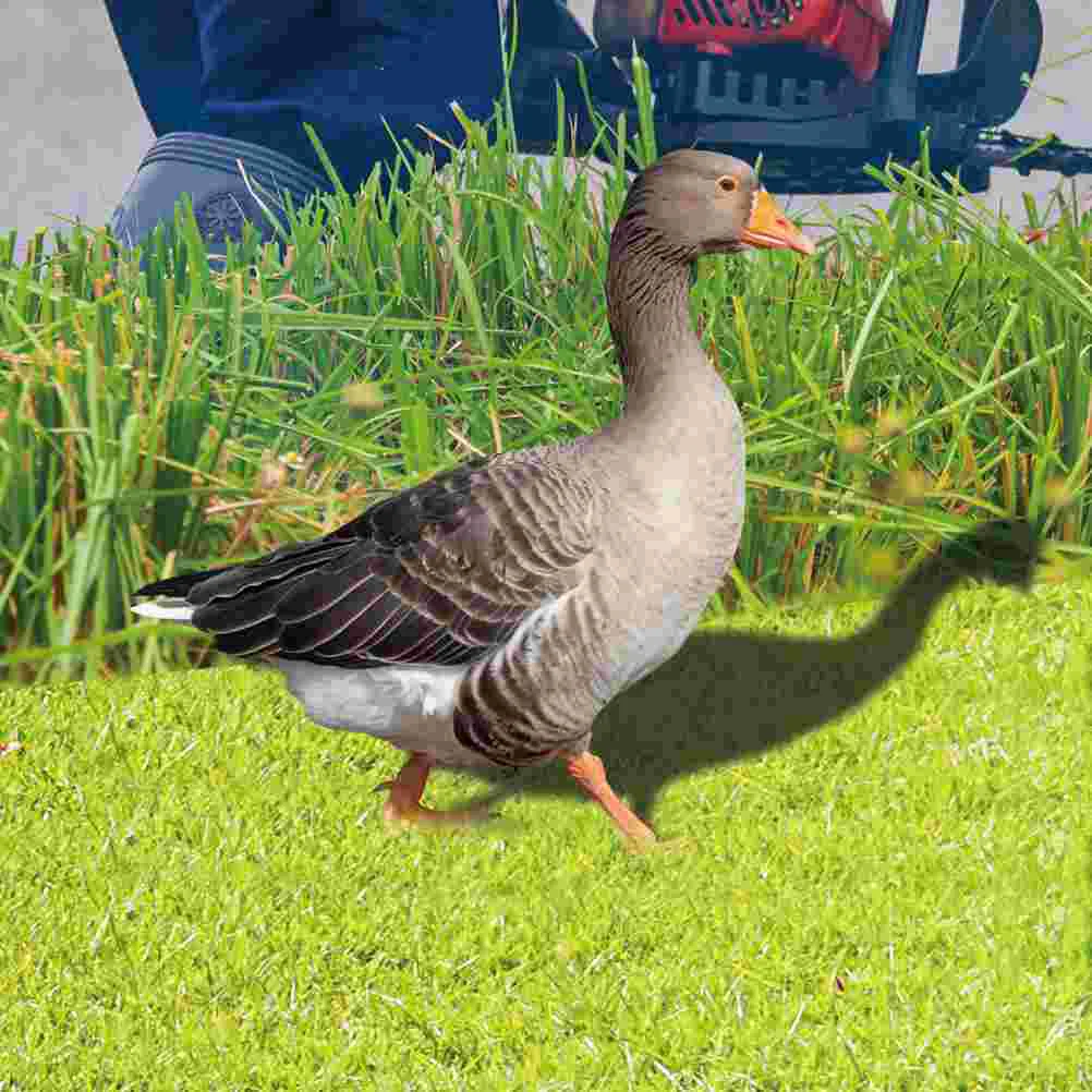 

2 Pcs Modeling Animal Duck 257X32CM Acrylic Simulation Insert Yard Silhouette Stake