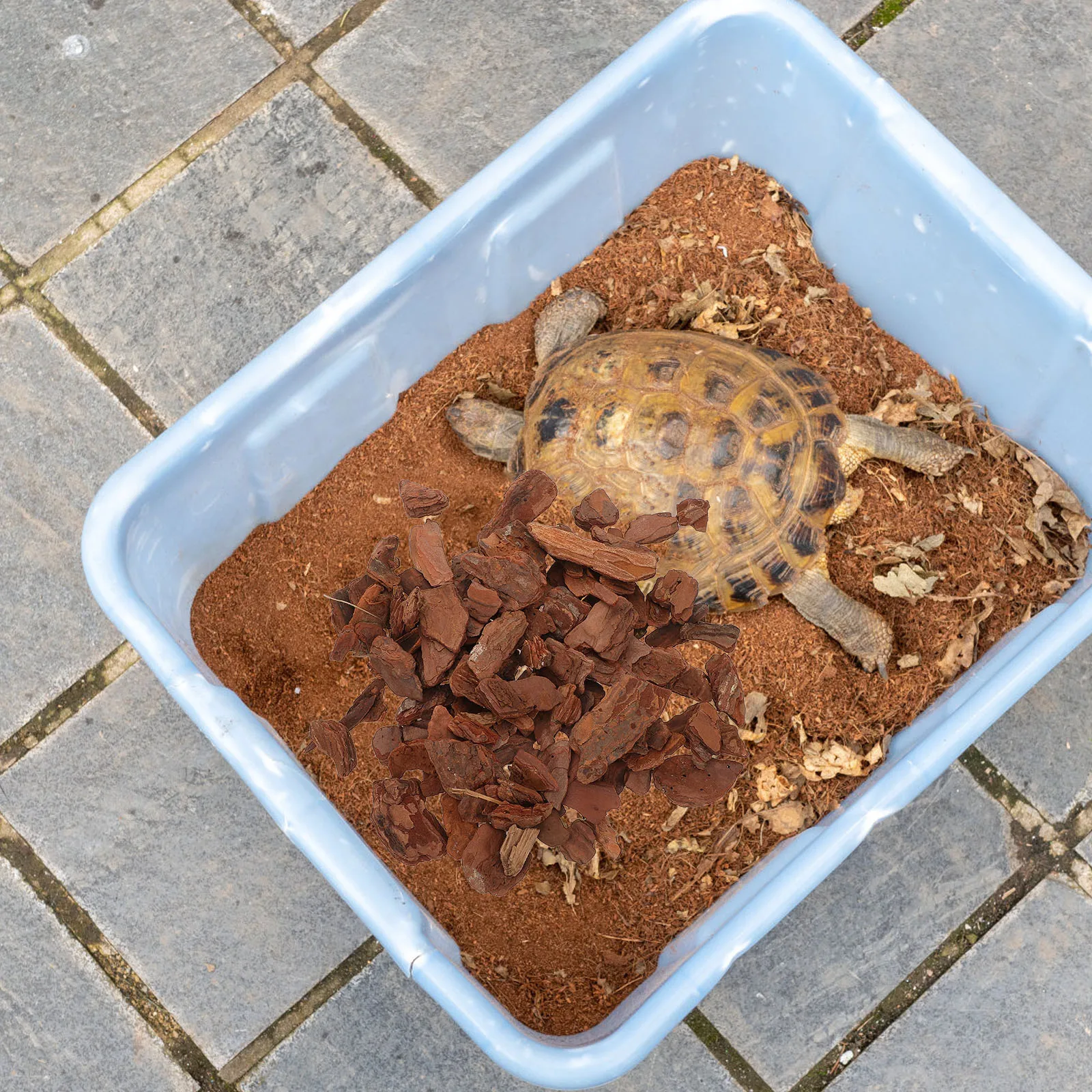 

1 Bag Reptile Bark Bedding Natural Tree Bark Chips Rustic Terrarium Reptile Tank Turtle Box Decor Terrarium Decorations