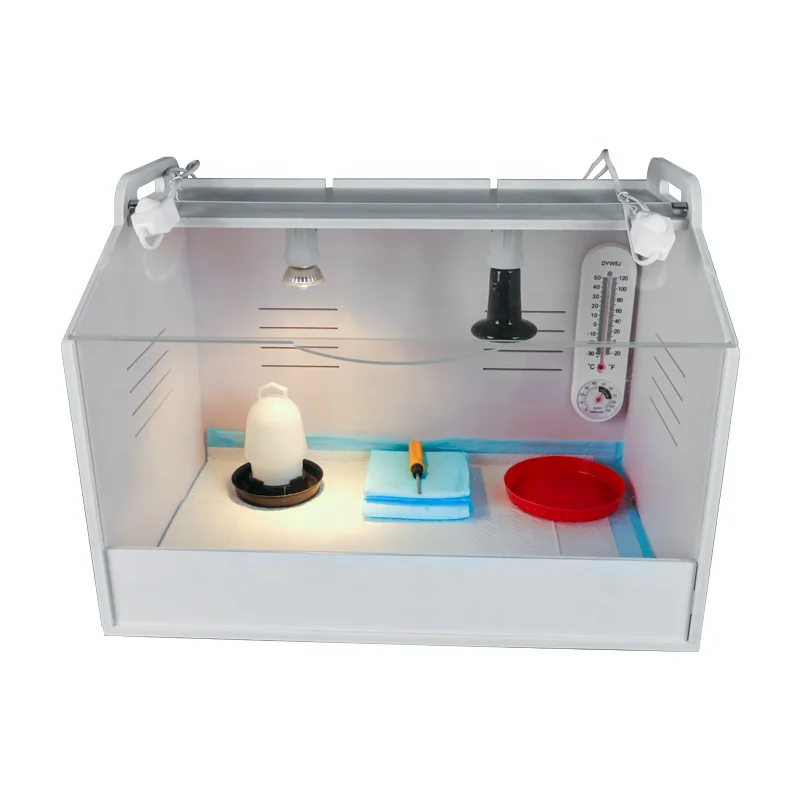 

Hotsale Poultry Chick Brooder,chicken Brooder for Sale,quail,bird Brooding Box