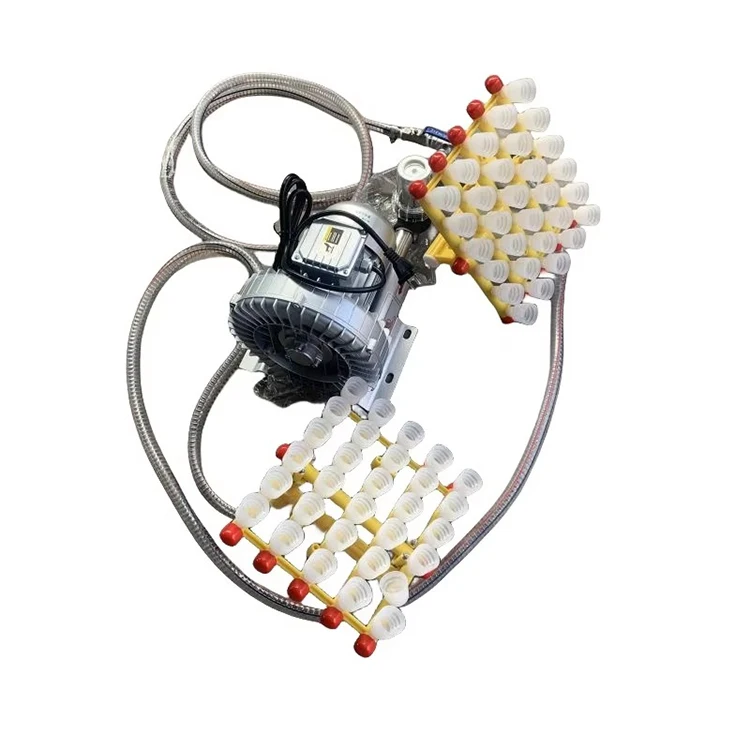220V 370W Vacuum Egg Suction & Grading Machine with 30-Egg Capacity Egg Loading Device