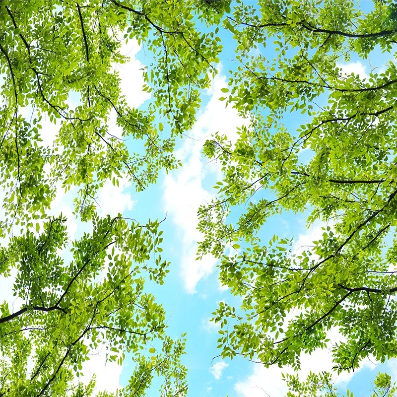 Custom Size Blue Sky White Clouds Forest Green Leaf Wall Painting 3D Modern Living Room Bedroom Ceiling Decoration Mural Paper - Image 5