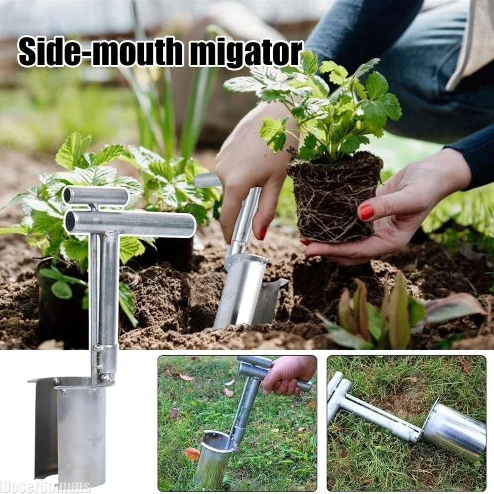 

Tool Mini Garden Hand Tool Bonsai Miniature Transplant Seedling Tool Plant And Fruit Tree Seedling Transplanter Garden Planter