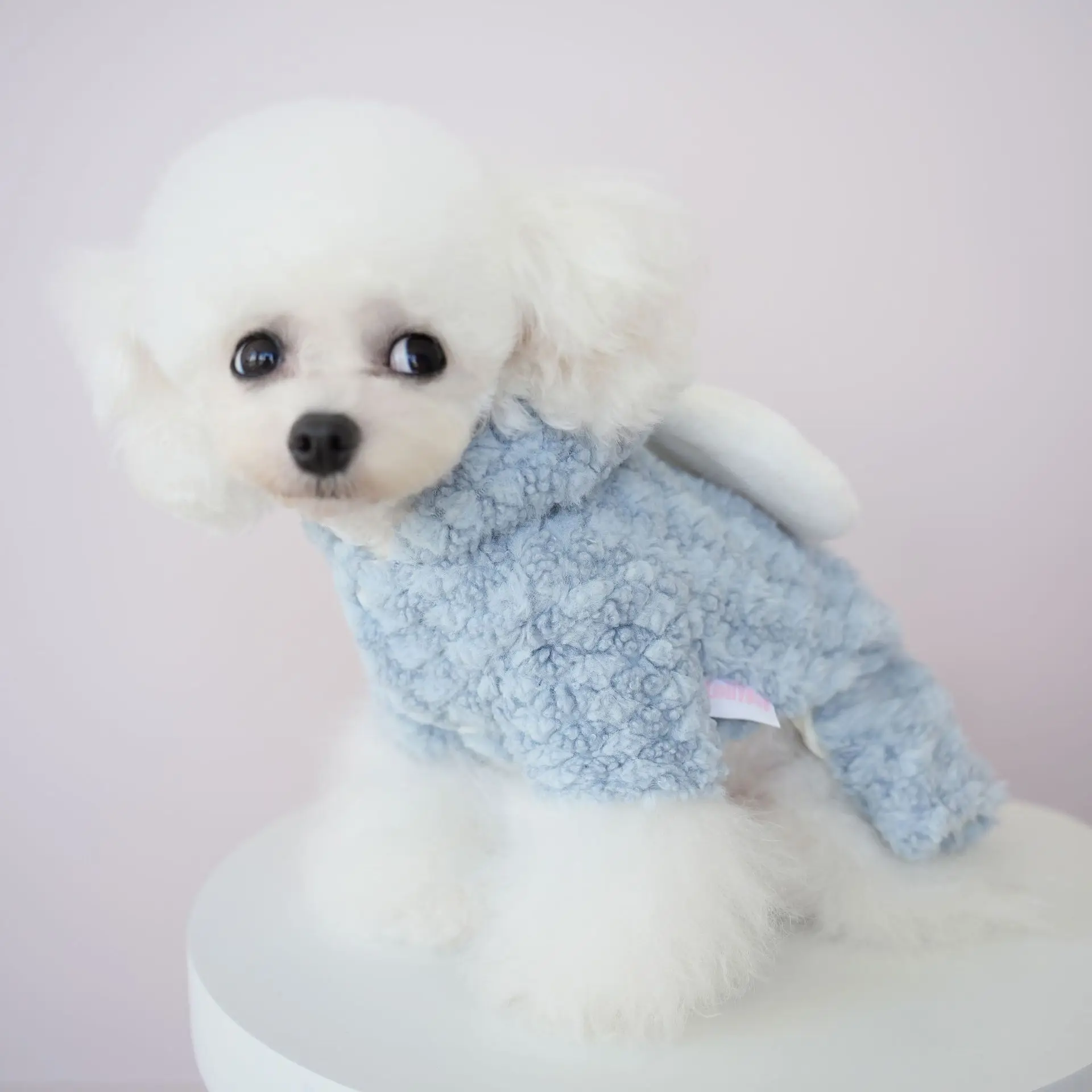 Pet Big Ears Embroidered Four Legged Clothes Warm Plush Winter Clothes Couple's Thick Edition Puppy Clothes Coat for Small Dogs