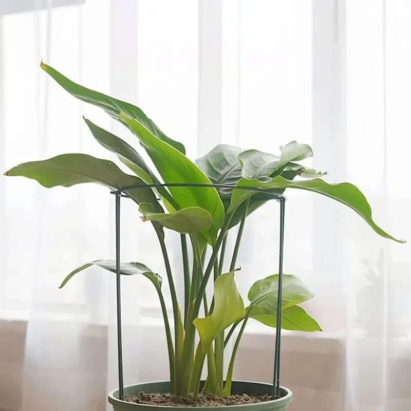 Tall Plant Support Stakes Metal Half Round Garden Plant Cage And Support Green Plant Support Ring Border For Flower Indoor