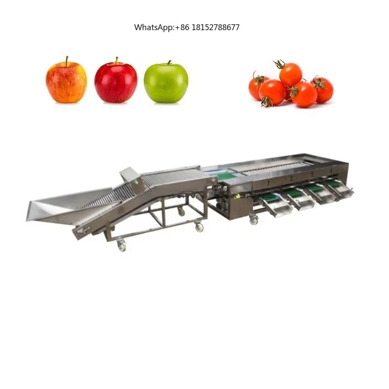 Calibrator Fruit and Vegetable Sorting Machine Tomato Garlic Chili Pepper Onion Carrot Cucumber Mushroom Grading Machine