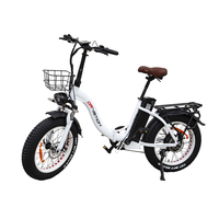Drvetion CT20 Electric Bike 750W 48V20AH Dual Battery City Folding E-bike Aldult 20*4.0 In Fat Tire Snow Electric Bicycle