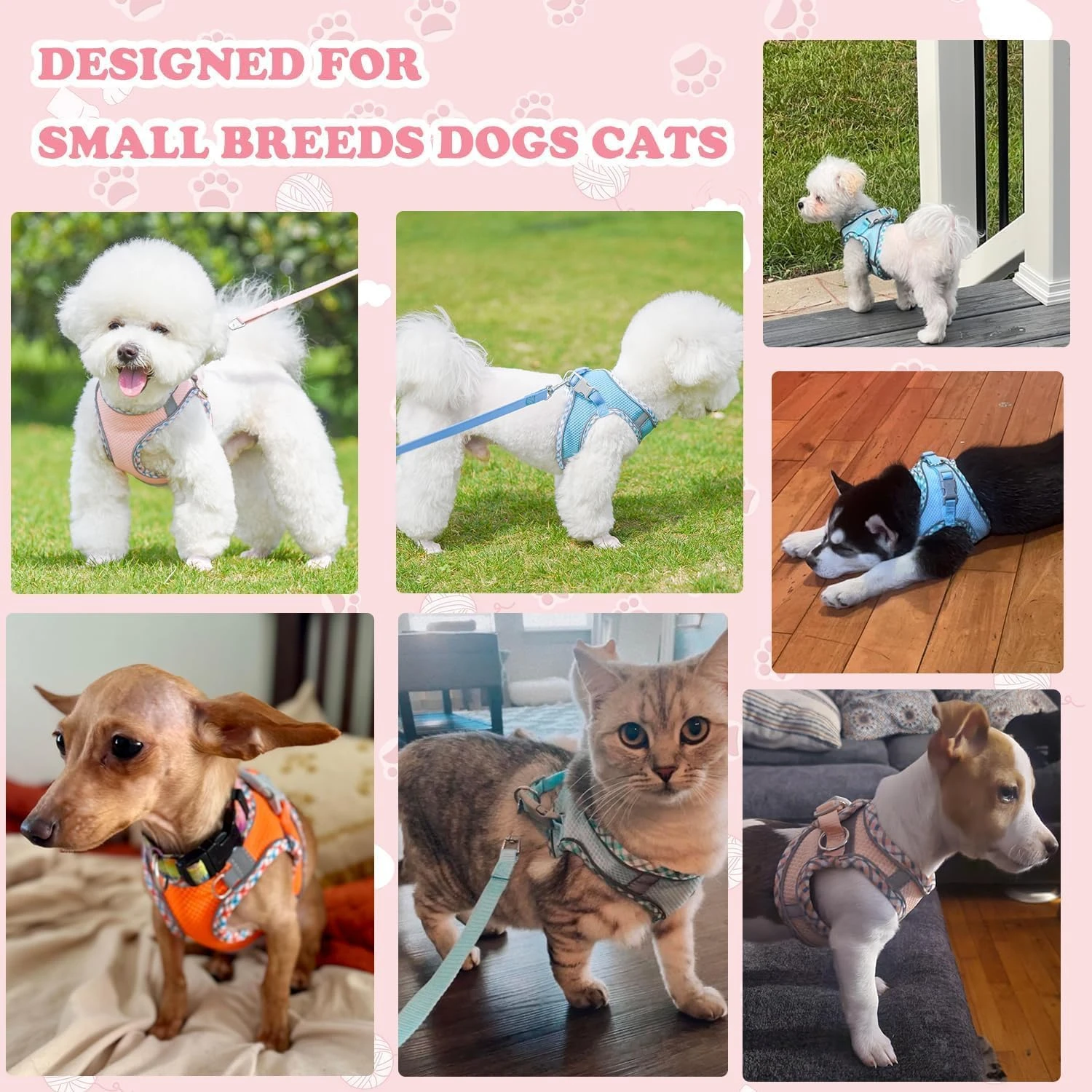 Small/Medium Cozy, Secure, and Reflective Adjustable Dogs Harness and Leash Set - Top-Quality No-Pull Step-In Vest for Safe and