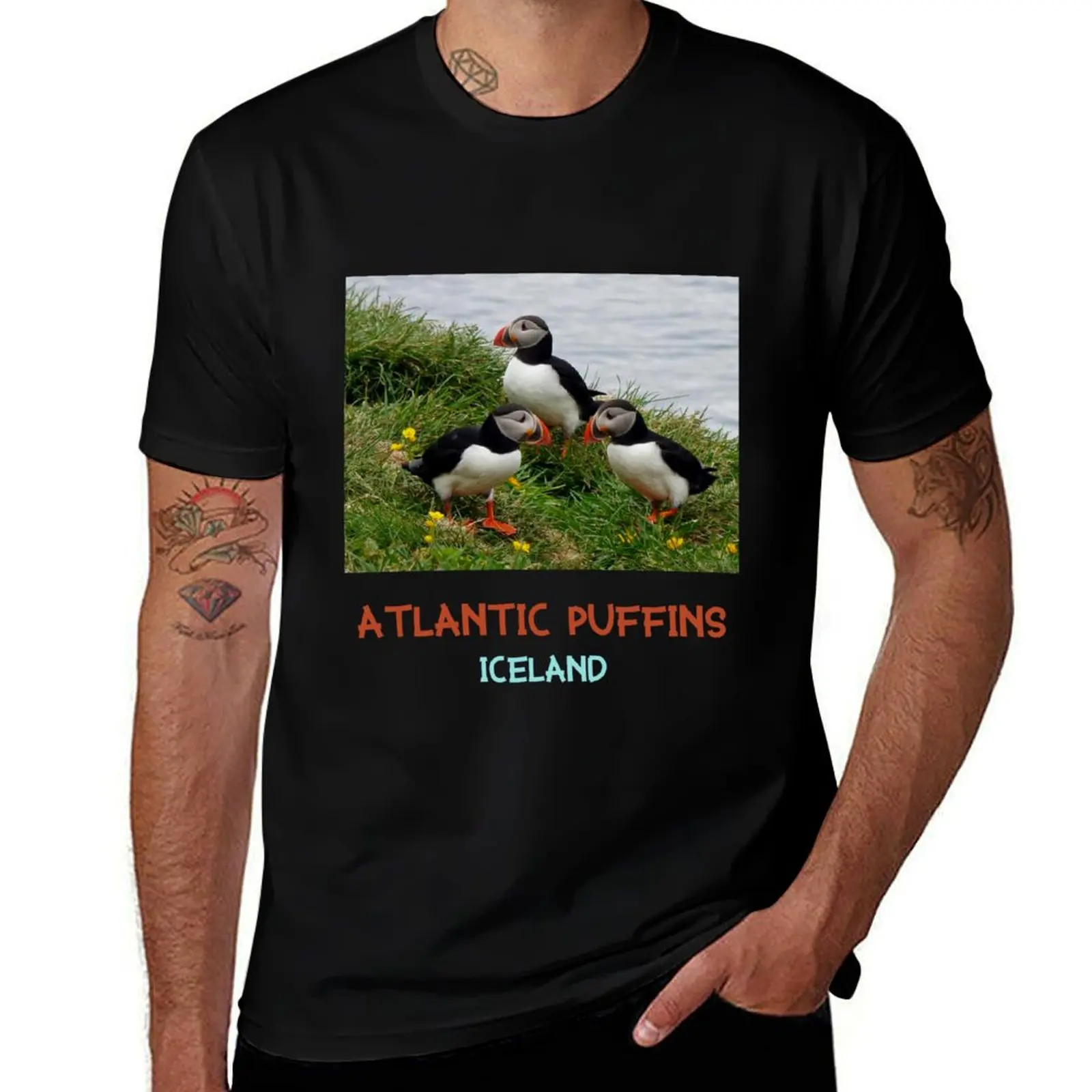 

The Atlantic Puffins in Iceland T-Shirt t shirt for man man t shirt summer anime t shirts for man T-Shirt