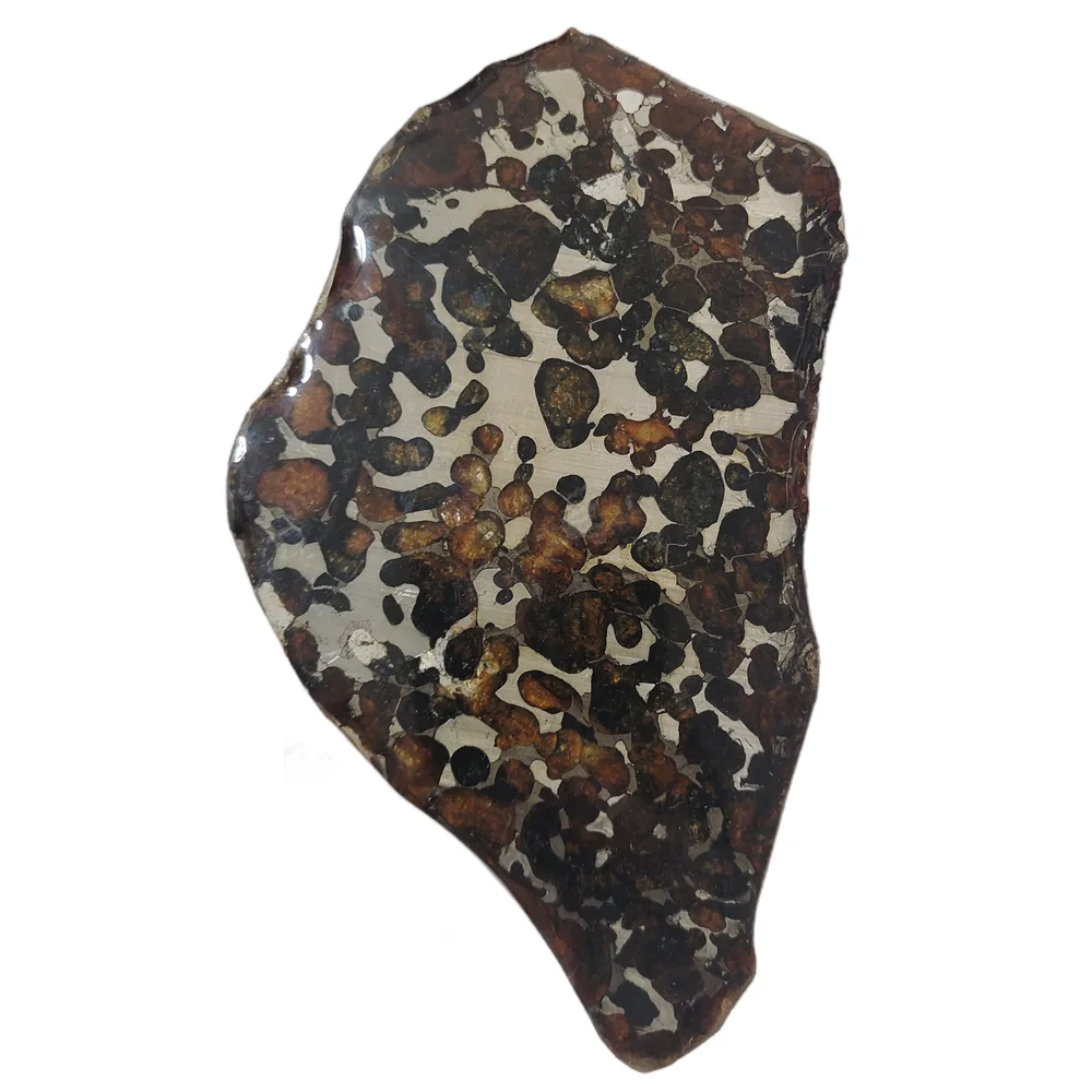 High Quality Olive Meteorite Slice Sericho Kenya Olive Meteorite Specimen Natural Meteorite Material Slice