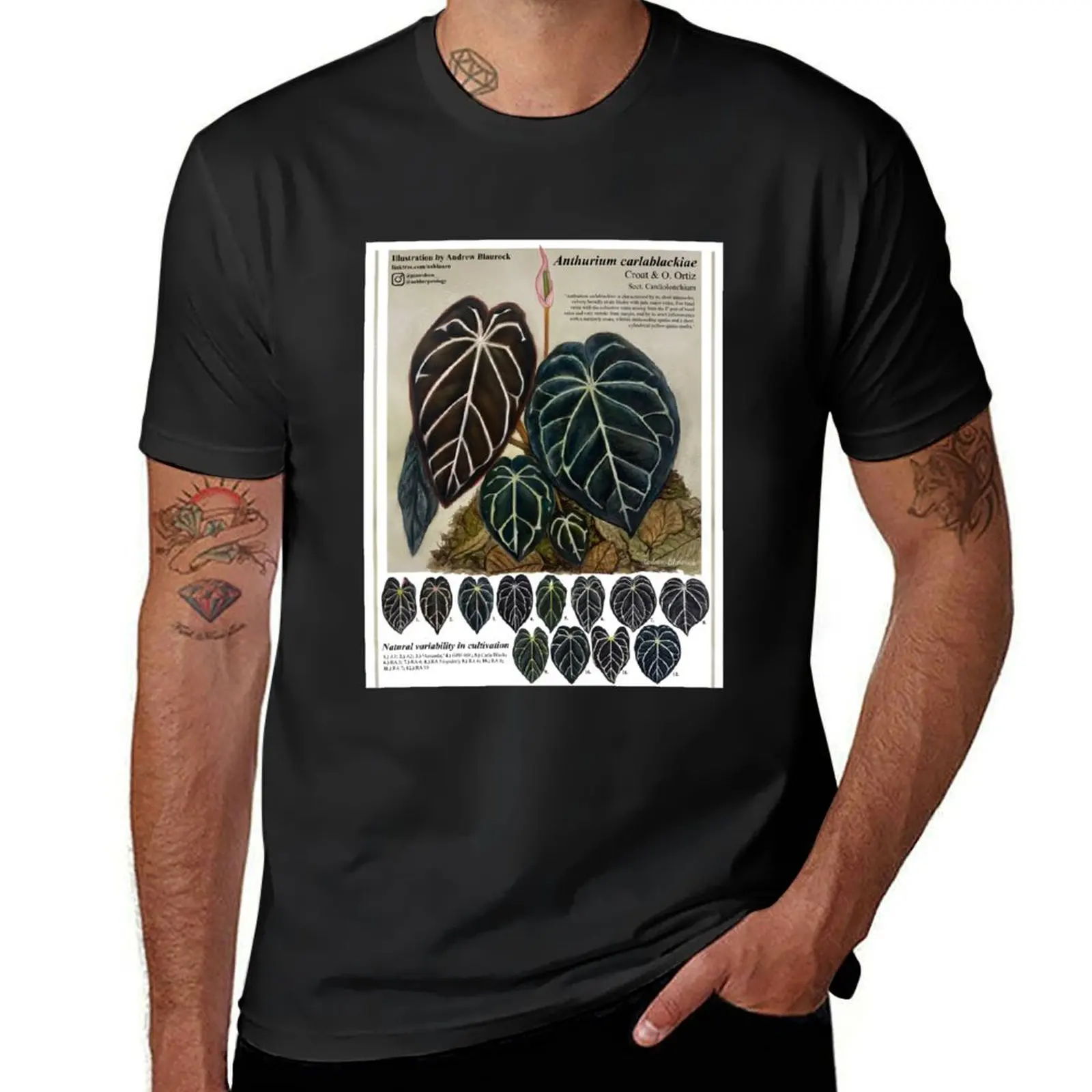 Anthurium carlablackiae T-Shirt cute tops summer tops mens clothes