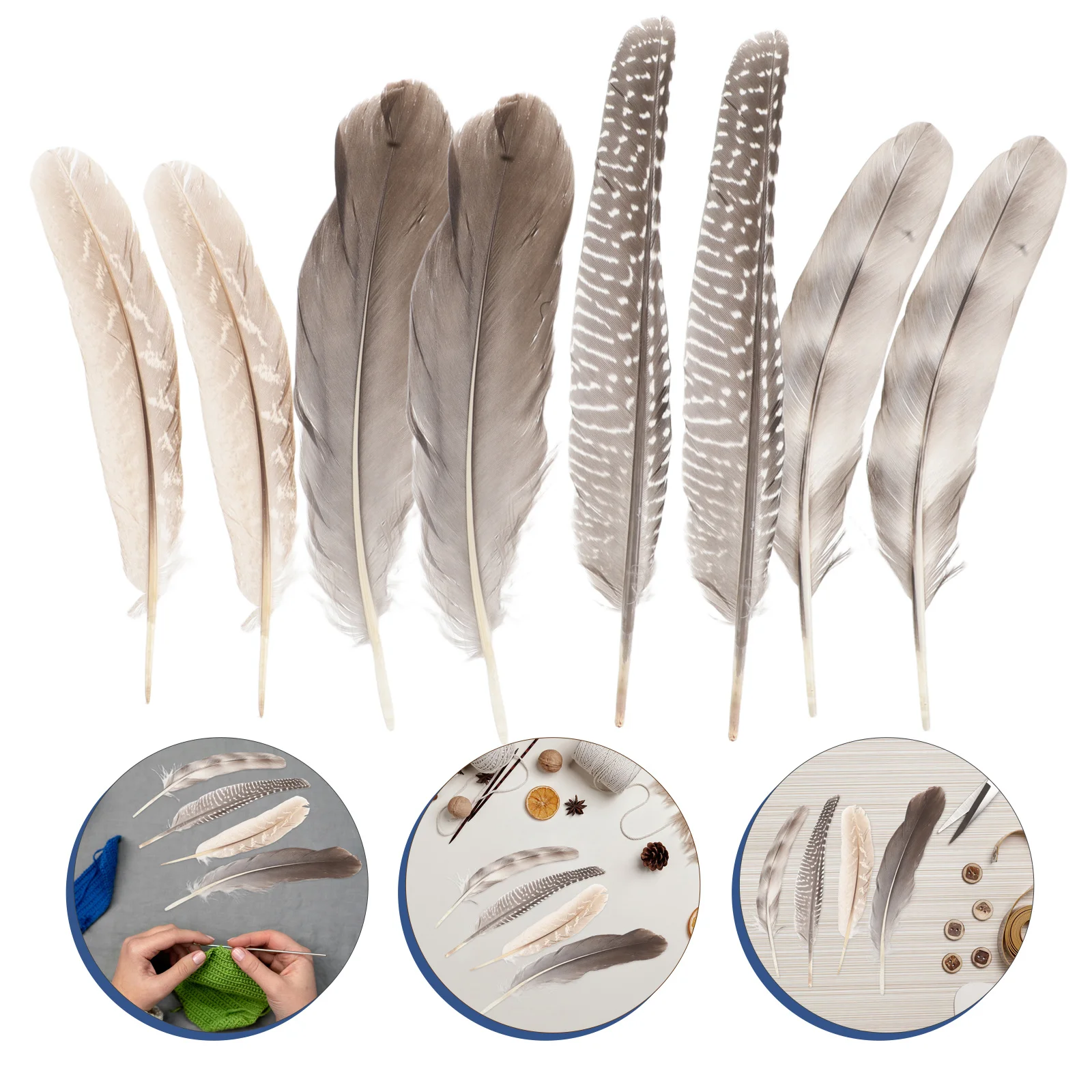 

4Set Natural Pheasant Craft Supplies Unique Patterns Vibrant Colors DIY Dream Catchers Jewelry Party Decor Home