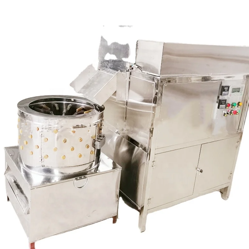 Automatic Chicken Scalding Plucking Machine in Slaughterhouse