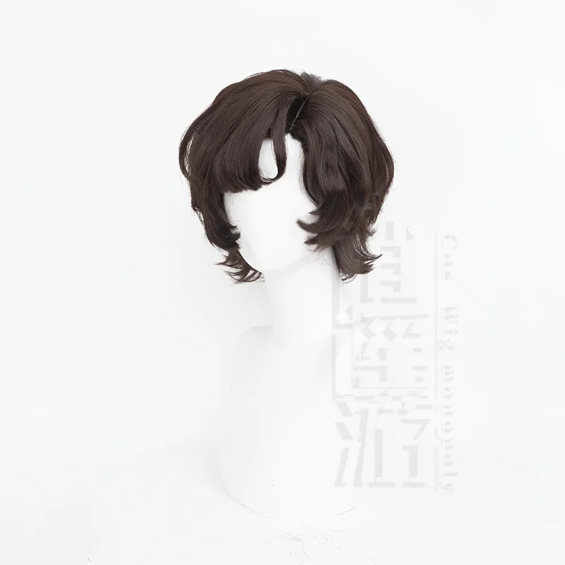 High Quality Reverse 1999 Schneider Cos Wig 30CM Brown Heat-resistant Synthetic Hair Halloween Party Anime Cosplay Wigs+wig Cap