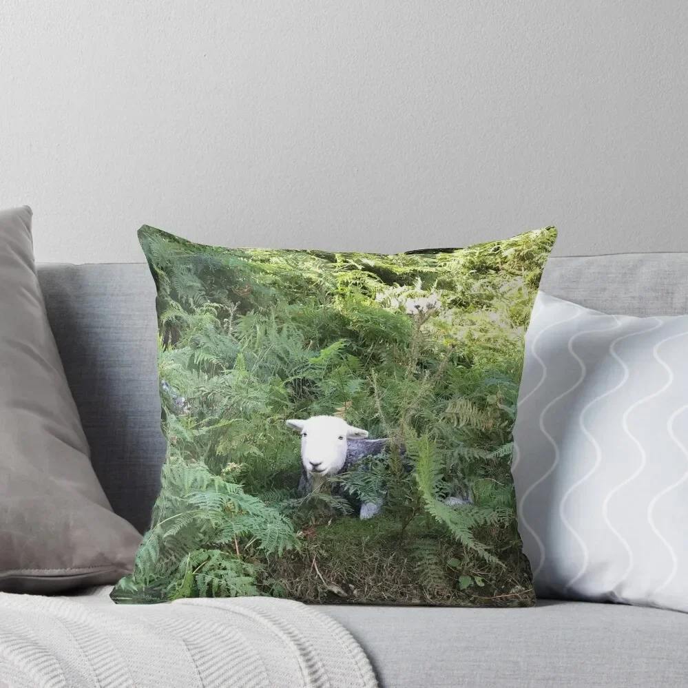 

Herdy sheep in the ferns in the lake district Throw Pillow luxury throw pillow covers Sofa Cushion Cover Pillow