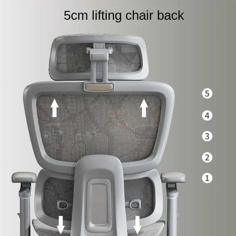 OLEVO Ergonomic  Lumbar Computer Home Comfort Sedentary Gaming Reclining Office For Desk news