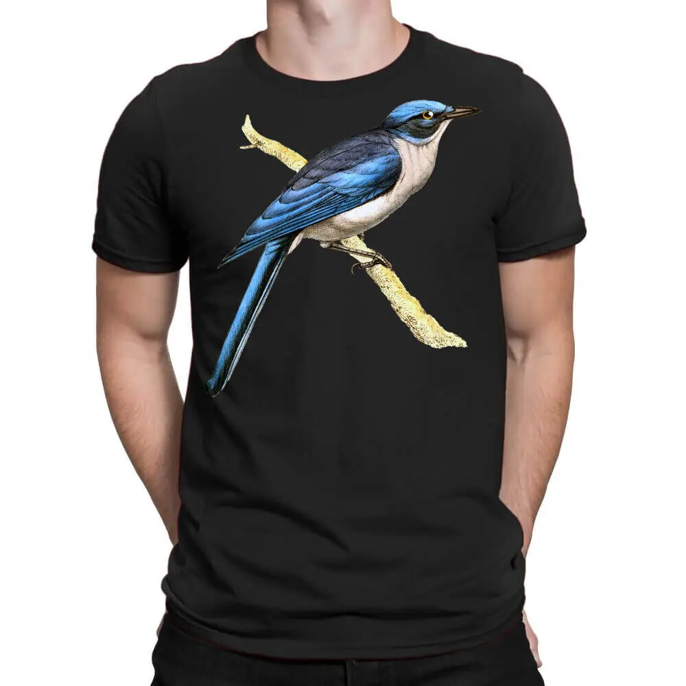 BEST TO BUY Bird Vintage Jay Drawing Art Blue  Lover Gift  T-ShirtAnime Pattern Clothing Y2K SummerAnime Graphic T-shirts fo