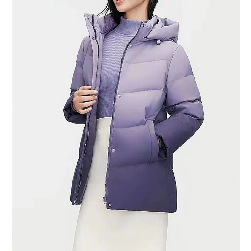 Kurze Puffer mäntel Kapuze Winter jacken Frau Farbverlauf Farbe koreanische Daunen jacke Mode lässige Oberbekleidung warme Mäntel unten