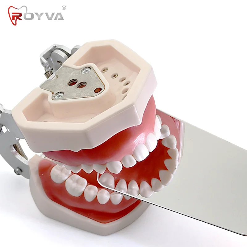 Рисунок 3 - Royva Dental Fog Free Reflector