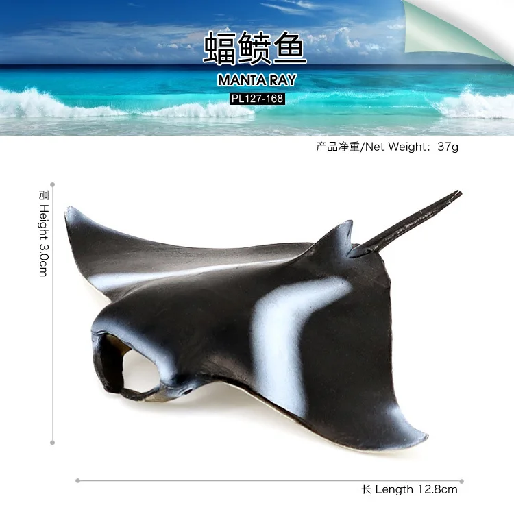 

Морская жизнь, лучи Мандта, лучи Мандта, модели имитации морских животных, Finding Nemo, подводная жизнь