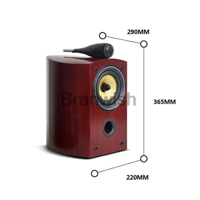 Haut-parleur HiFi passif 5.5 pouces, bibliothèque avec fièvre, bidirectionnel, 100W, Audio professionnel, moniteur 8Ω, boîte de son haute puissance