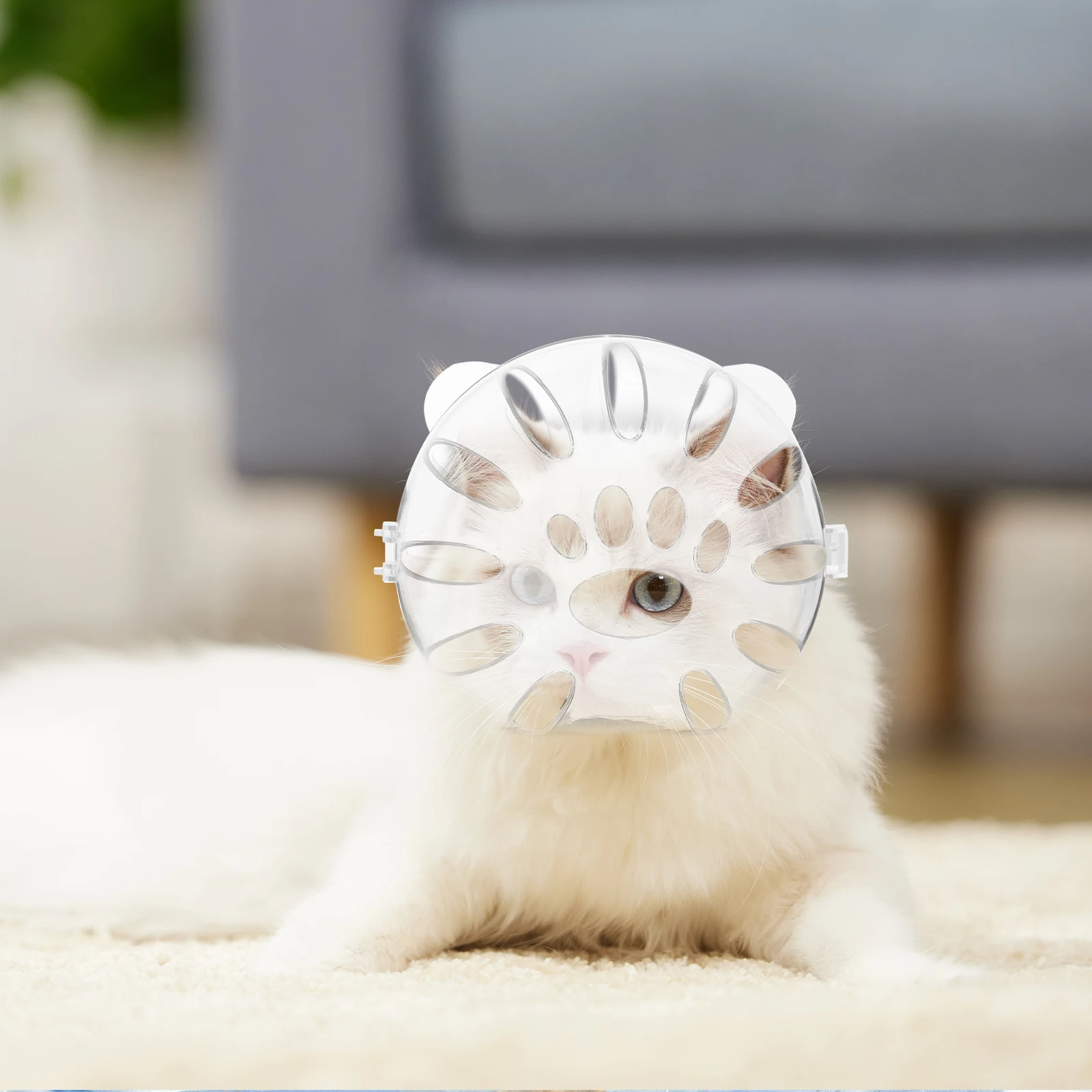

1 pcs Cat Transparent Kitten Hood Pet Safety Claw Caps Removable Post Accessories For Cat After Surgery