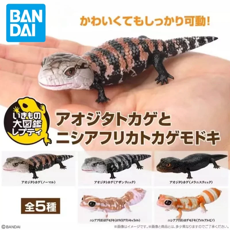 Bandai Original Gashapon Big Biological Map Gecko Lizard Blue-Tongued Skink Simulation Movable Animal Action Figure Model Toys