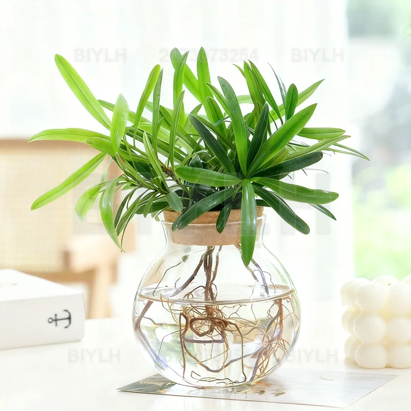 Propagation Station with Glass Vase Home Decoration Tabletop Plant Rack for Hydroponic Cuttings Home Office Glass Craft Ornament