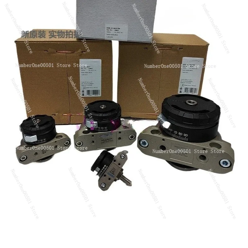 Swing Cylinder DSRL 10 12 16  25 32 40-180-P-FW 30654/5/6/7/8