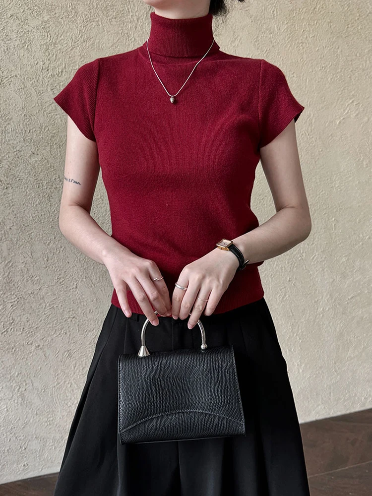 Wine Red Elegant Slim Knitting Sweater Turtleneck Short Sleeve Women Pullovers New Fashion Tide Spring Autumn