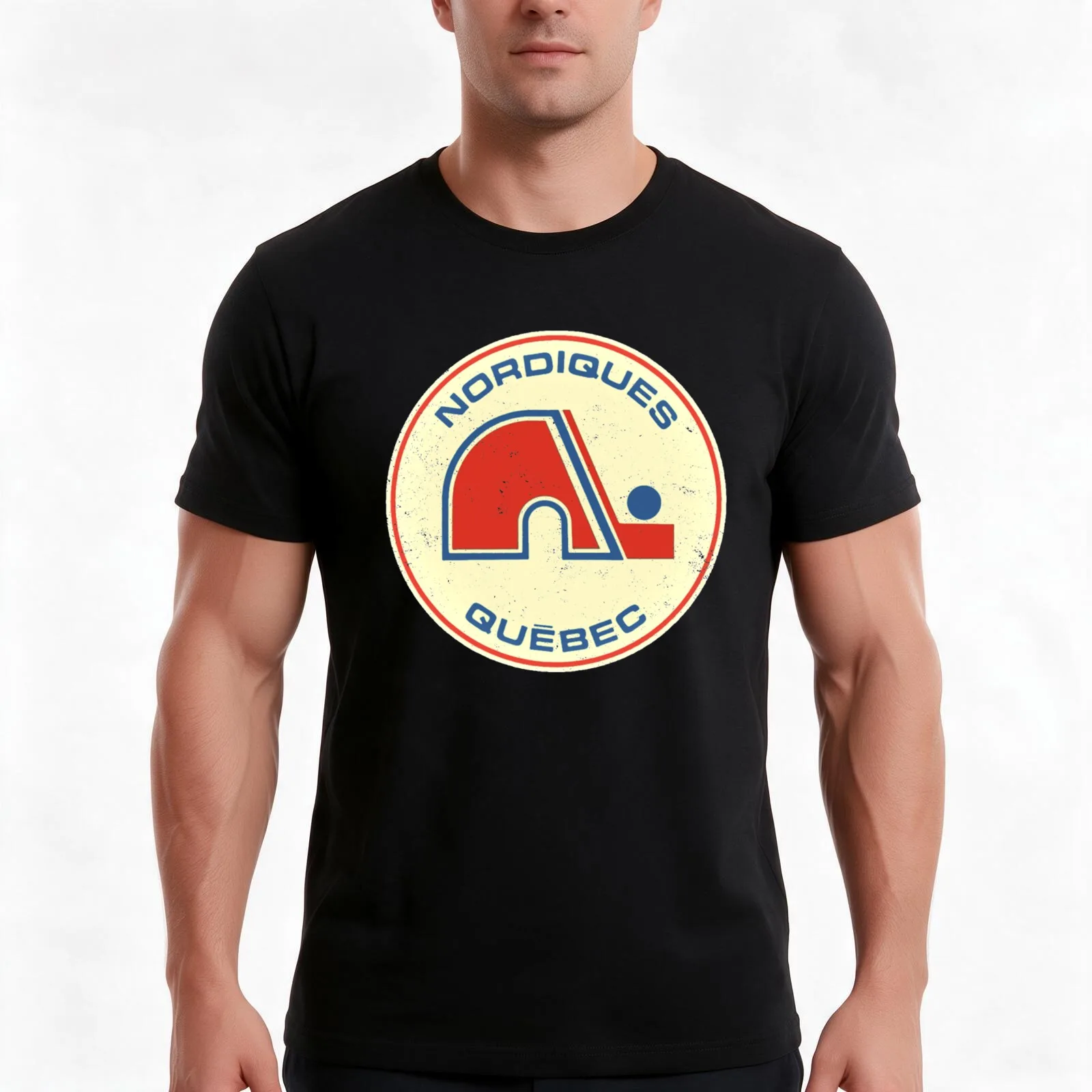 Quebec Nordiques [Vintage Distressed] Shirt T-Shirt Summer Casual Cotton Tee Oversized Streetwear Tops Vintage Graphic Print