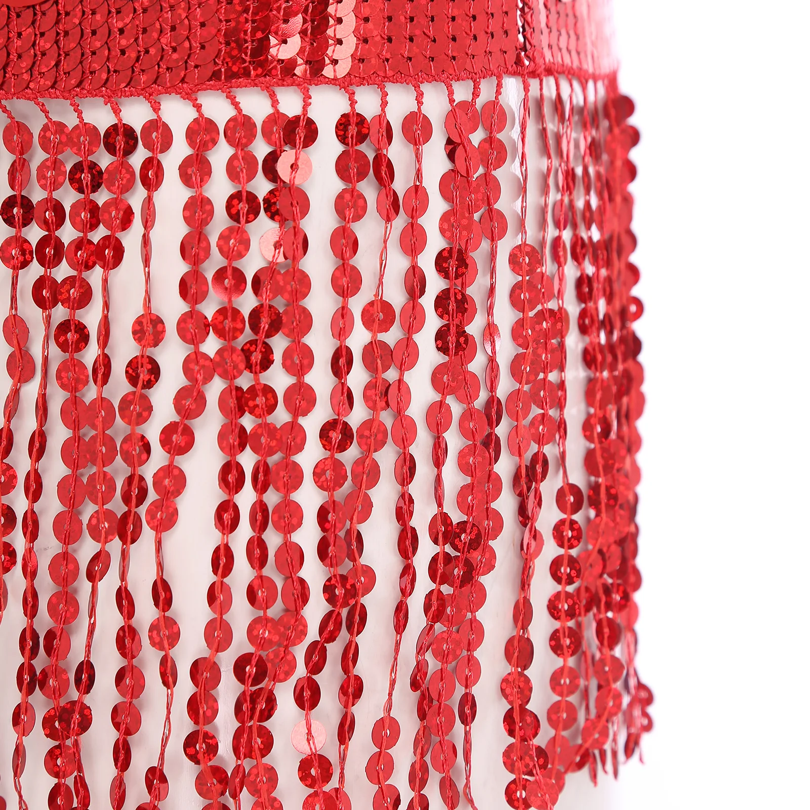 

Women Belly Dance Hip Scarf Skirts Sparkly Sequin Tassel Fringe Lace-up Waist Chain Skirt India Dance Belly Performance Costume
