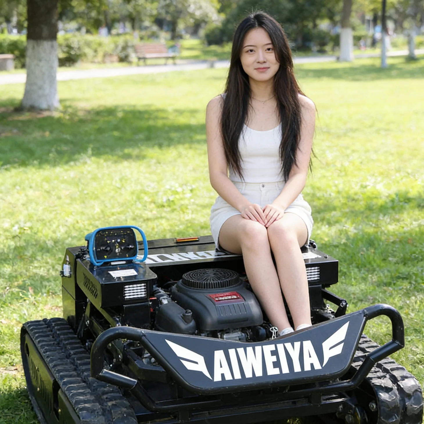 Customized Intellig…