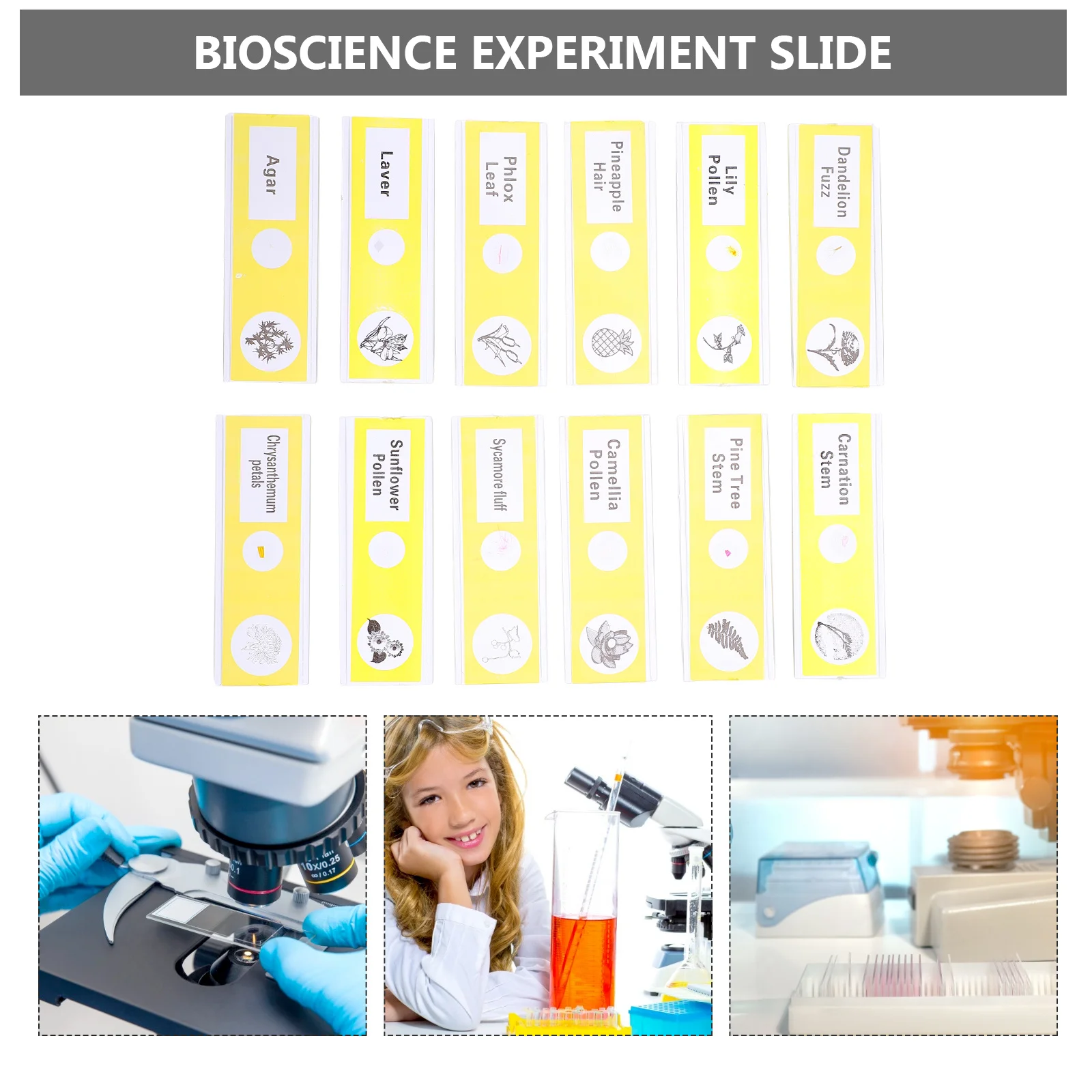 สไลด์ตัวอย่างสำหรับกล้องจุลทรรศน์ 12 ชิ้น สำหรับเด็ก ทำจากพลาสติกใส สำหรับเก็บตัวอย่างพืช ใช้ในการศึกษาด้านชีววิทยา