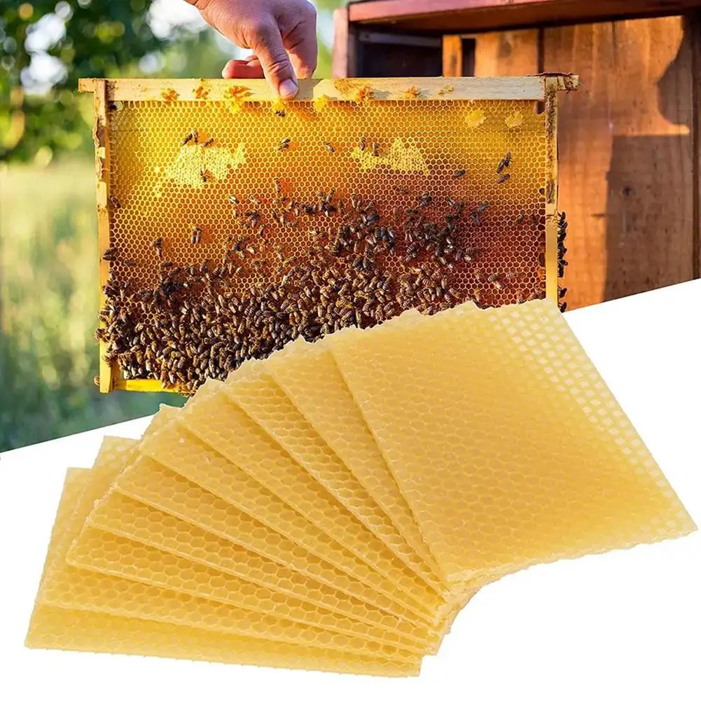 10Pcs Natural Beeswax Sheets Honeycomb Sheet Hive Cell Frame Wax Foundation for Candle Making Craft Beekeeping DIY Supplies